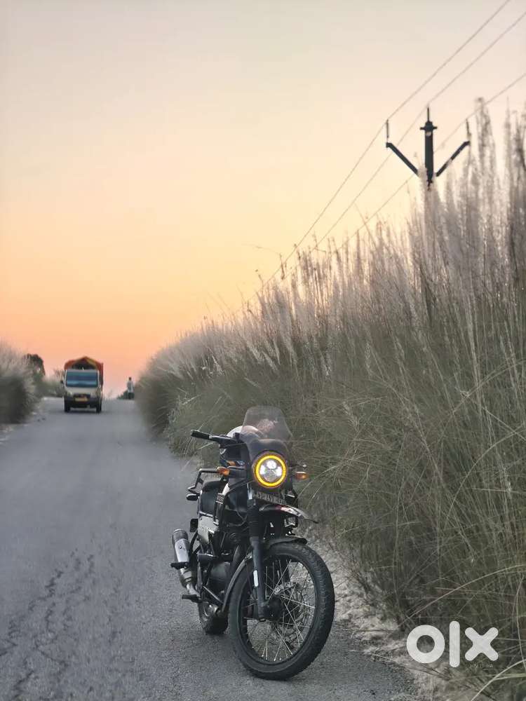 Very good condition Himalayan