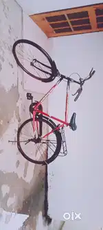 City bike 5 year old