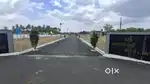 Premium dtcp  project low cost in mettupalayam road