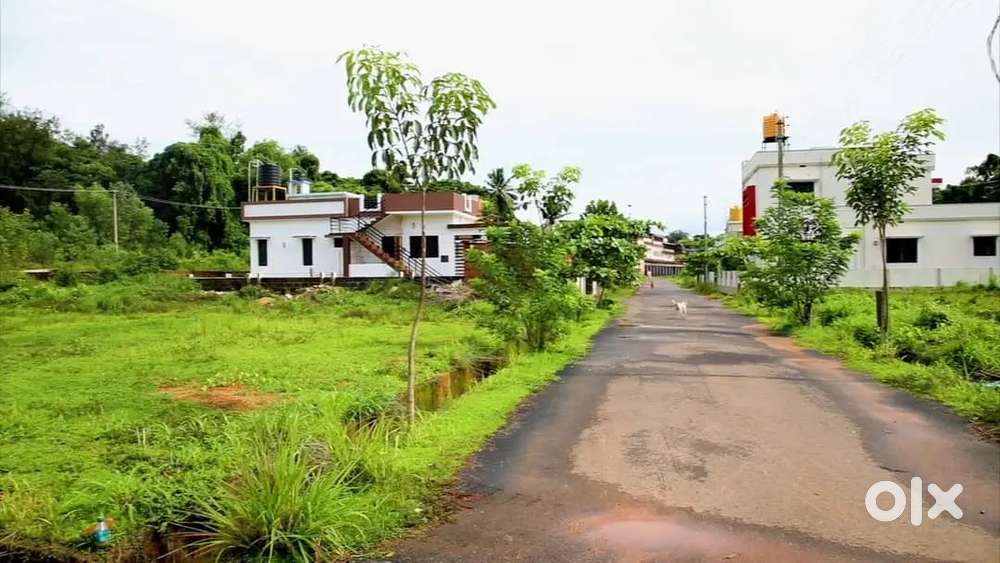 Punaruru Vishwanatha Temple Road Project