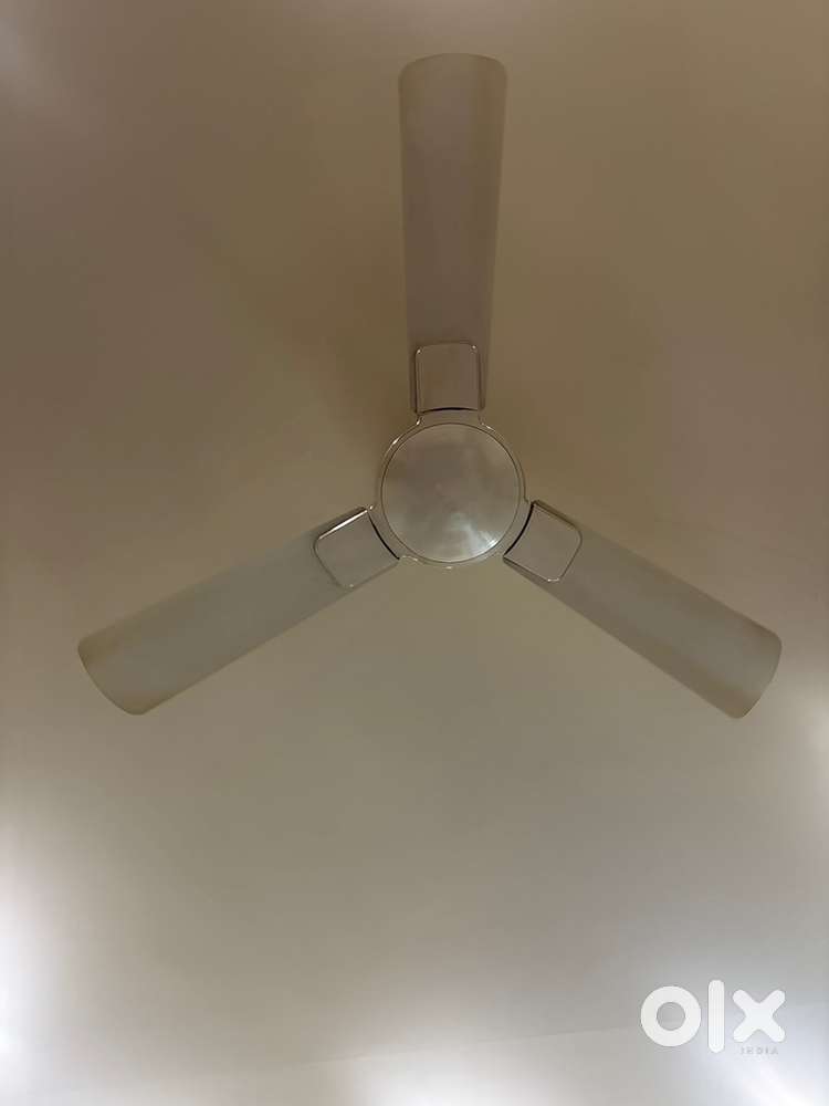 Ceiling fan