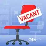 Front office executive or customer support executive