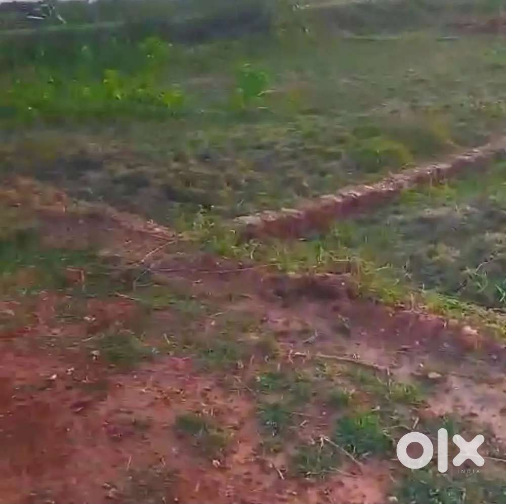 Gharabari Plot sale Tankapani road  near  khota&mitha  kalayni mandap