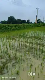 URGENT SELL  KHUD KI JAMIN HAI