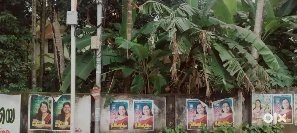 5 cents plot in Karamana for sale