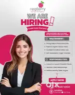 Inside sales with fluency in Hindi