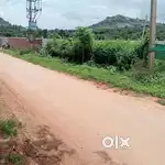 Agriculture land
