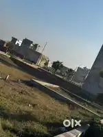 50 gaj plot
