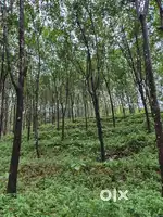 സ്ഥലം വില്പനക്ക്