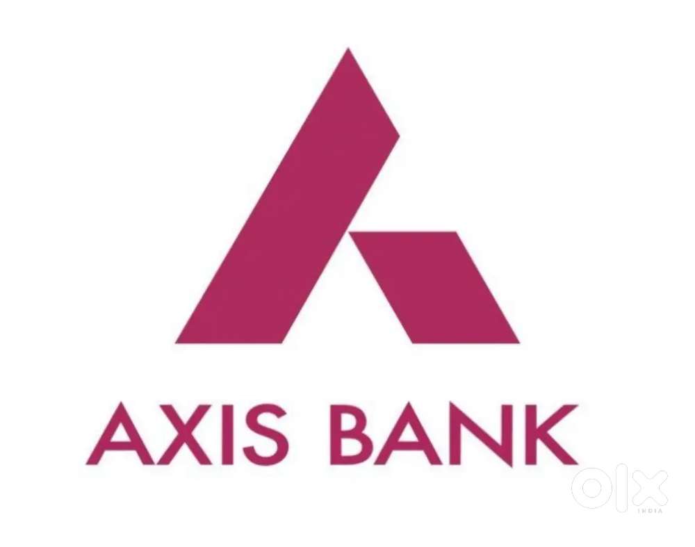 Document executive for Axis bank