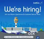 JOBS in indigo Airlines urgent hiring apply fast