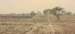 Open Land for Sale in Nidamanuru