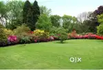 Garden ka kam karvana hai to sampark Kare