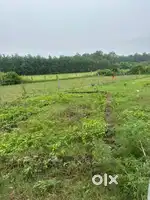 SHOP PLOT 10*25 Sale