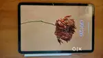Xiaomi pad 6 ( with original pencil)
