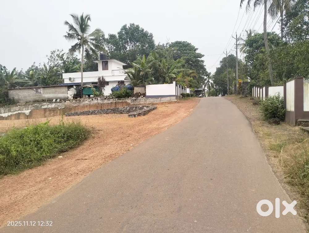 Thripunithura Thiruvankulam NH plot for sale