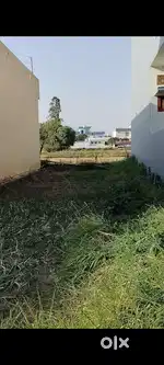 प्लाट (19×55=1022 वर्ग फ़ीट ) बिकाऊ है पंचायत घर के नज़दीक हल्द्वानी