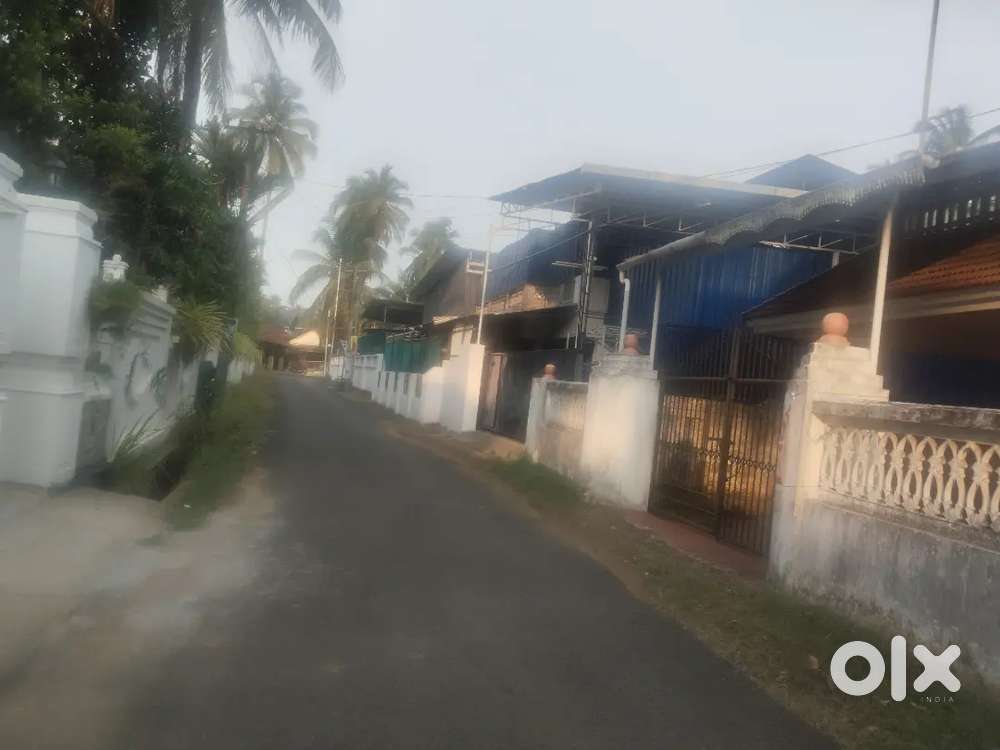 Thrissur mannuthy indiranagar 6.250 cent plot old house for sale