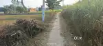 6 kattha Plot near Polytechnic college Deoria