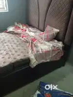 Bed new 2 month old