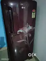 LG 5 star Fridge