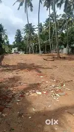 5,6 7 cent plots for sale karyavattom pullanivila