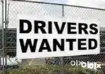 Wanted drivers with daily salary