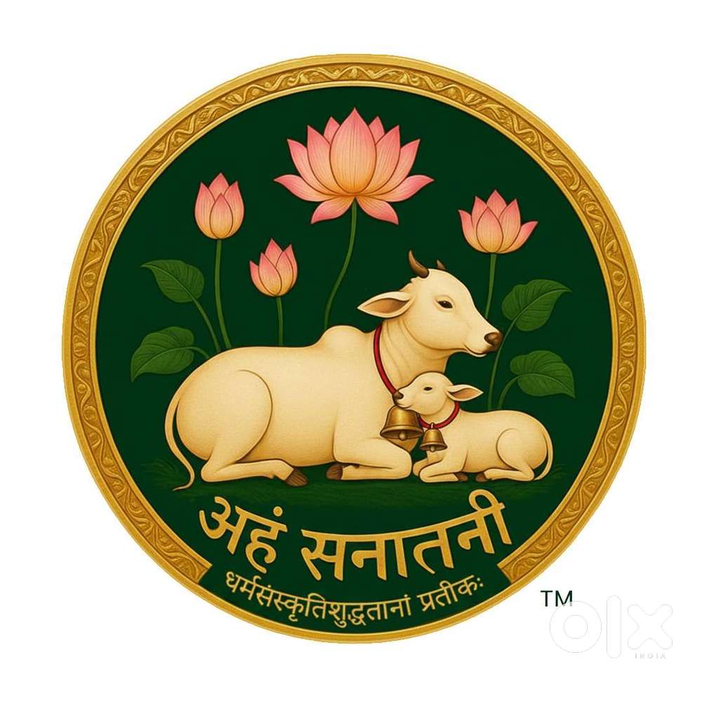 MARKETTING TEAM MEMBER , TEAM LEADER , DRIVER , CONTENT CREATOR