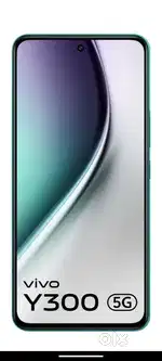 Vivo y 300