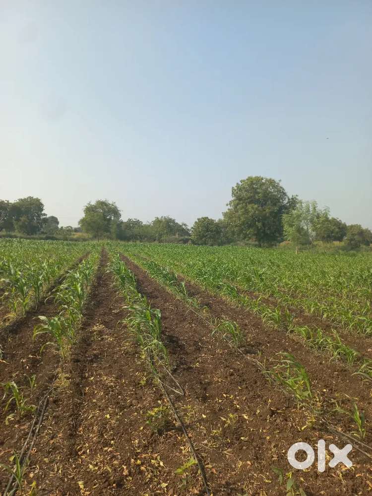 रोड टच जमीन