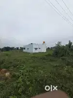 30X45 Revenue Gramtana Plot for Sale