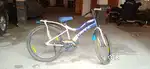 Unused cycle 1999