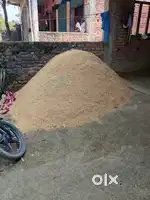 Padday bhusa