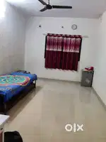 Need bachelor student