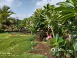 165 SQYDS PLOTS in 8LAKHS only