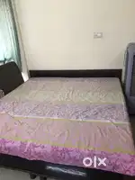 Need a girl for flat sharing