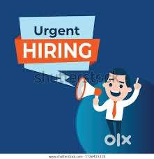 Sales officer