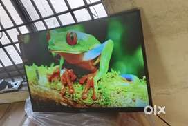 24 inch sony normal full hd led tv 3yr display waranty 5999