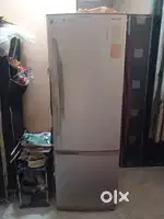 Fridge (Refrigerator)