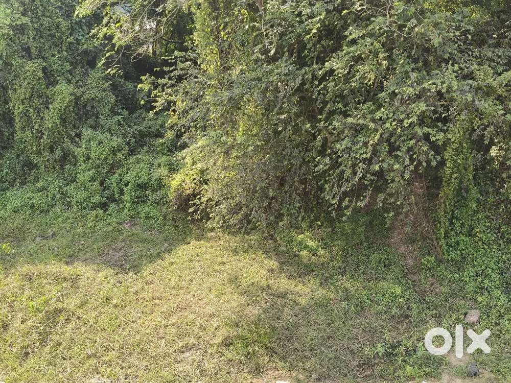 Plot For Sale (42 Mauja)Cuttack