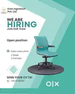 Sales Executive