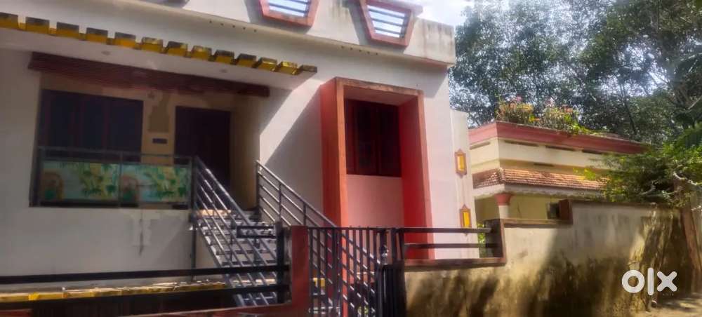 Affordable PG for Working Professionals