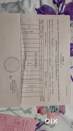 800sq ft land at pachal immediate sale