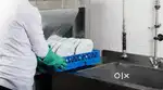 Wanted Dishwash Staffs at Restaurant