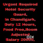 All Security Jobs Chandigarh 40