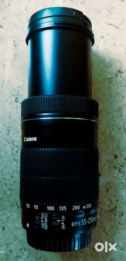 Canon 55-250stm lens