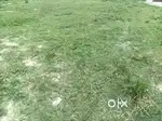 Land for sell