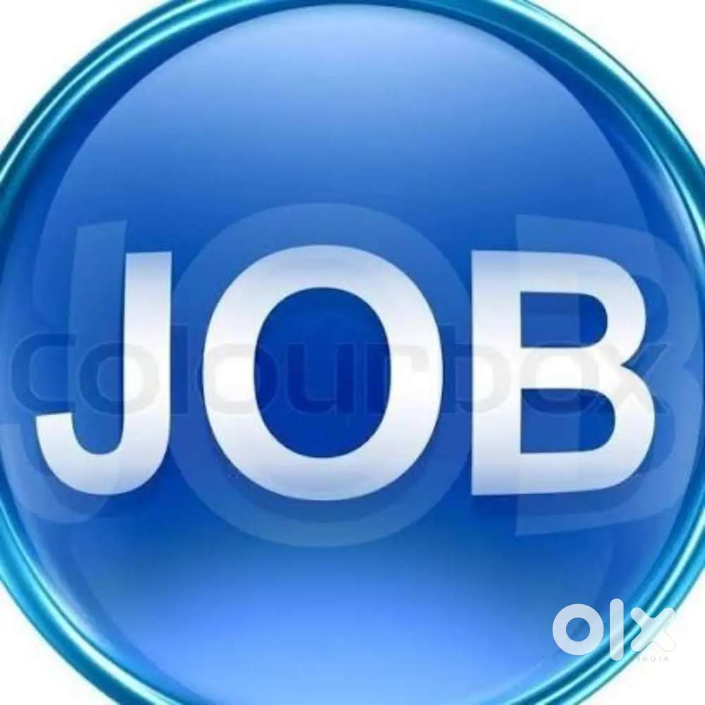 Delhi m jise job krni h msg kre