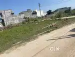 121 gaj ka plot ha