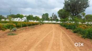 13 Bigha farm, Three sided open on road